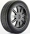 Tri-Ace Formula 1 265/35 R22 102V XL
