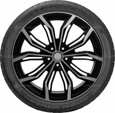 Tri-Ace Snow White II 285/40 R22 110H XL