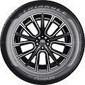 Triangle TC101 Advantex 205/60 R15 95V XL