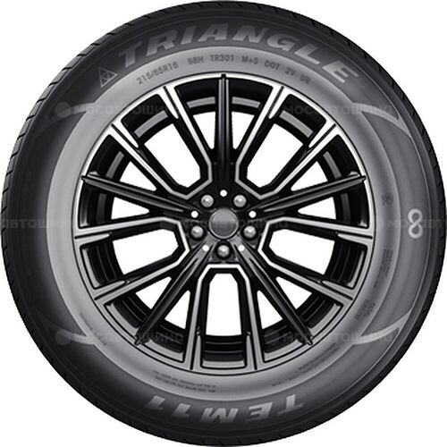Triangle TE301