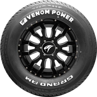 Venom Power Grand AM 185/65 R14 86S WSW