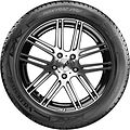 Vredestein Wintrac Pro 285/45 R19 111V