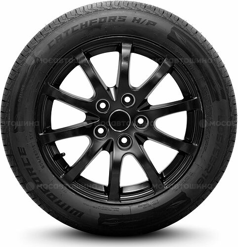 Windforce Catchfors H/P