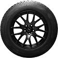 Windforce Icepower 245/50 R20 102H