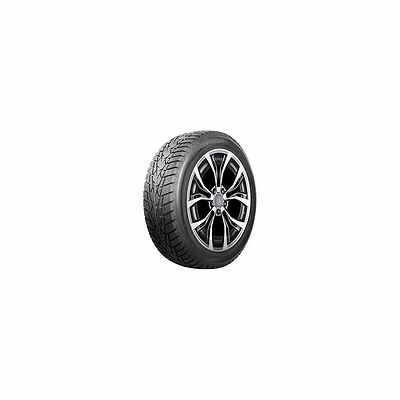 Autogreen Ice Cruiser AW01 225/60 R17 99T