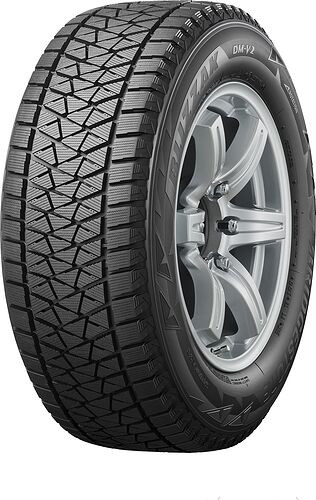 Bridgestone Blizzak DM V2
