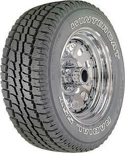 Dean Wintercat Radial SST
