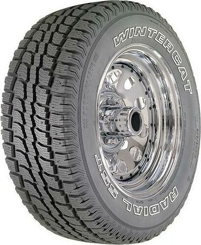 Dean Wintercat Radial SST Spike