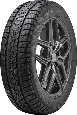 Formula Winter 225/50 R17 98H XL