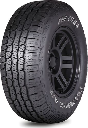 Fortune FSR-308
