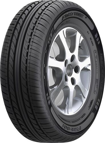 Fortune FSR-801