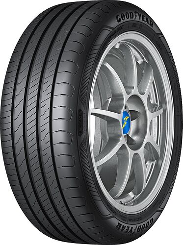Goodyear EfficientGrip Performance 2