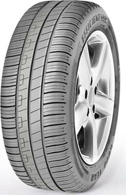 Goodyear EfficientGrip Performance FI 205/55 R16 91V
