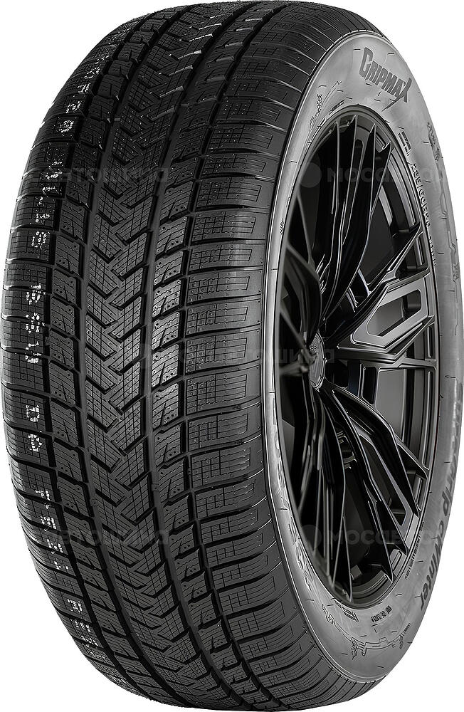 Gripmax SureGrip eWinter 205/50 R17 93V XL