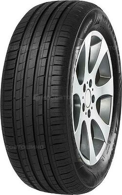 Minerva F209 225/55 R16 99W XL