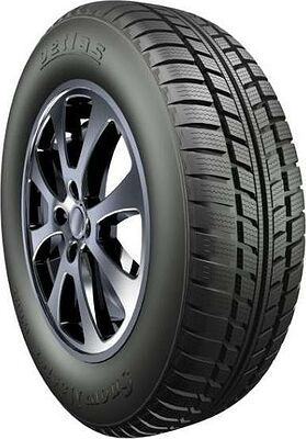 Petlas Snow Master W601 165/70 R14 85R XL