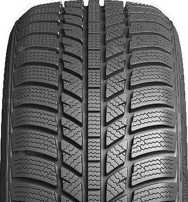 Evergreen EW62 195/45 R16 84H XL