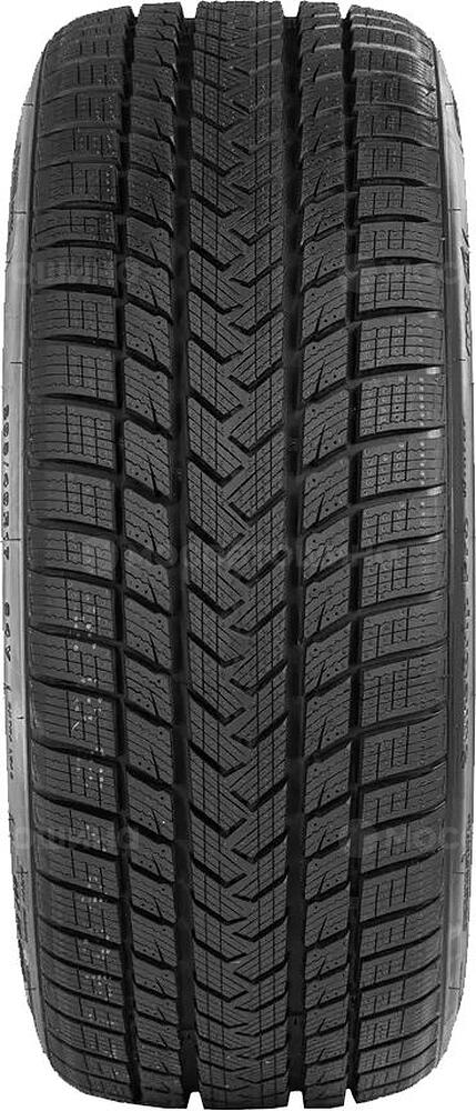 Протектор Gripmax SureGrip eWinter 205/50 R17 93V XL