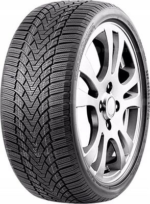 RoadMarch WinterXPro 888 205/60 R15 91H