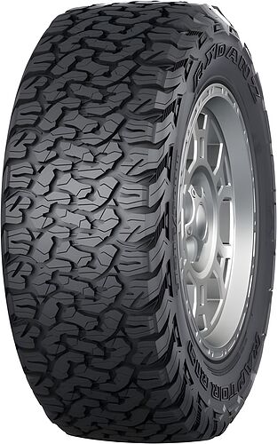 Rydanz Raptor R19