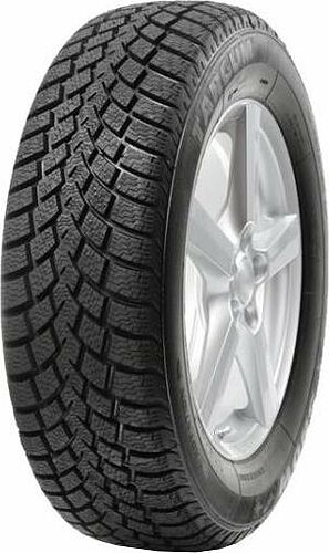 Targum Snow Plus