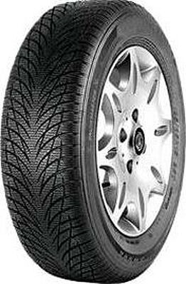 WestLake SW602 205/55 R16 91H