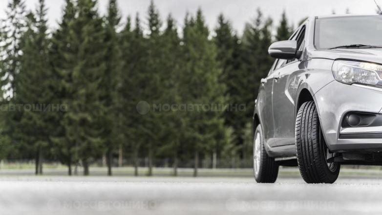 Автомобильные шины Nordman SX2 на автомобиле   [2254]