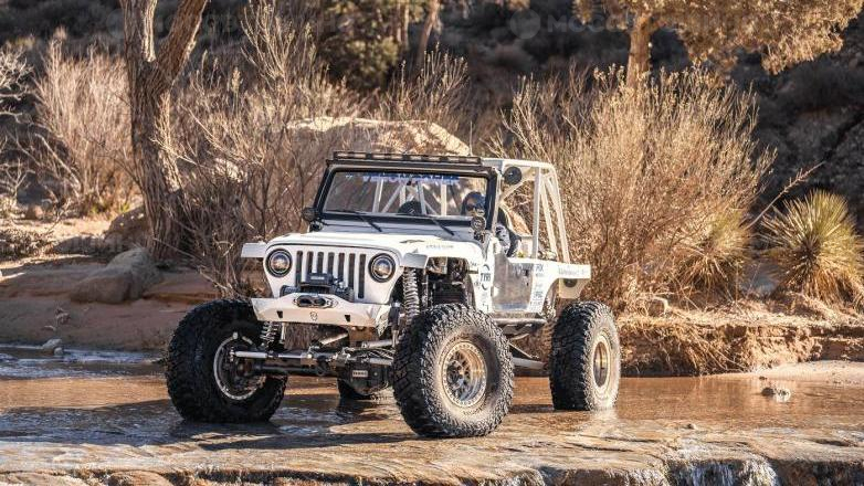 Автомобильдің шиналары Venom Power Swampthing M/T 40X13.50R17L [2825]