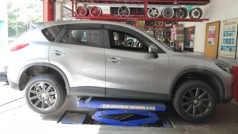 Автомобильдің шиналары Rydanz Raleigh R06 [2464]