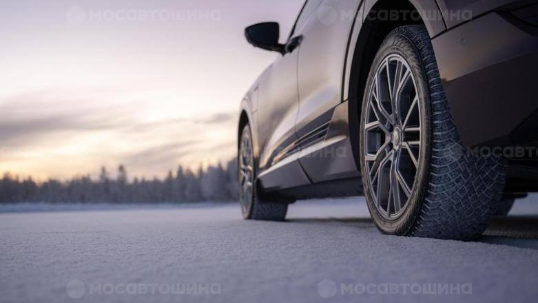 Автомобильдің шиналары Nokian Hakkapeliitta R5 EV [2200]