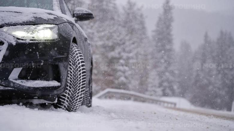 Автомобильдің шиналары Nokian Snowproof 2 [2577]