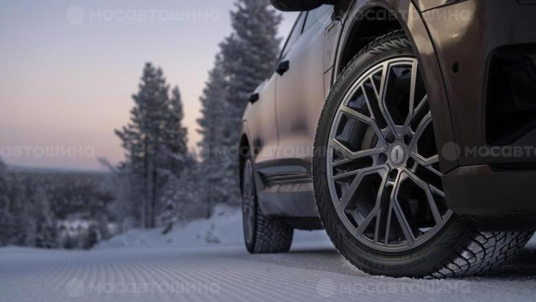Автомобильдің шиналары Nokian Hakkapeliitta R5 EV [2193]