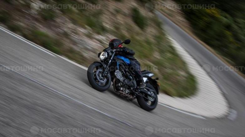 Автомобильдің шиналары Michelin Road 5 [2733]