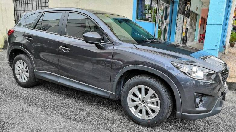 Автомобильдің шиналары Rydanz Raleigh R06 225/65 r17 [2468]