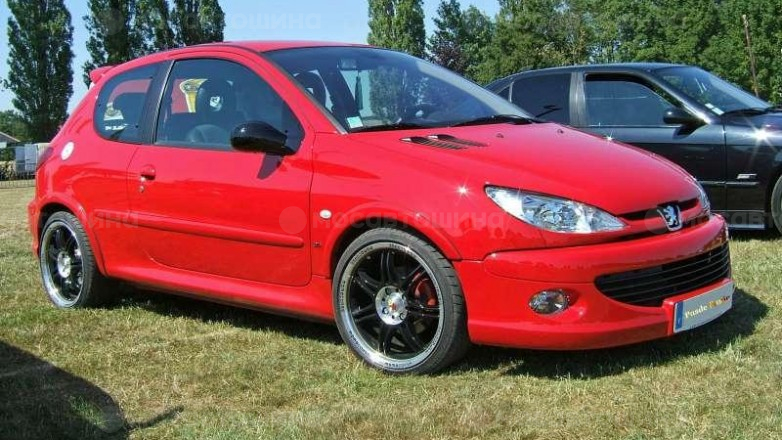 Дискілер Momo Corse R17 на автомобиле Peugeot 206 [184]