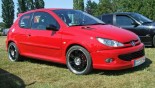 Диски Momo Corse көлікте Peugeot 206 Диски Momo Corse көлікте Peugeot 206