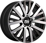 MSW 18 MSW 18