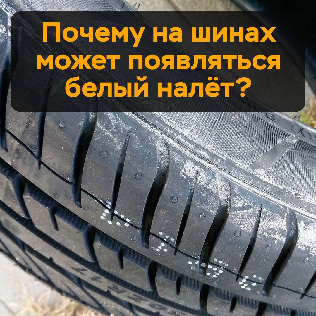 Шиналарда қарашық түрде көрінетін ақ түсті қабықшасы неше көрінеді?