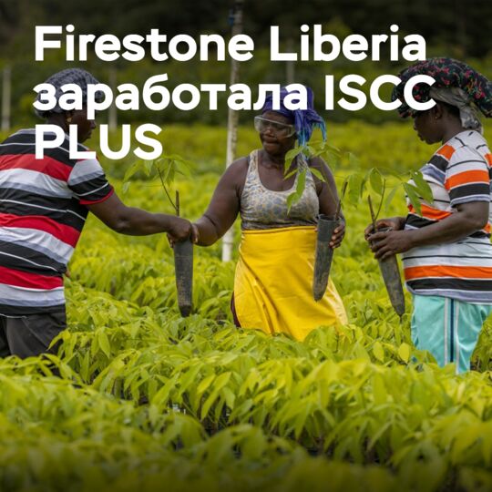 Firestone Liberia получила сертификат ISCC PLUS