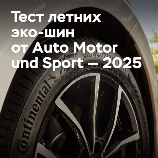 Тест летних эко-шин от Auto Motor und Sport — 2025
