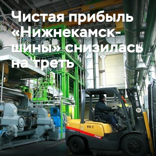 Чистая прибыль «Нижнекамскшины» снизилась на треть