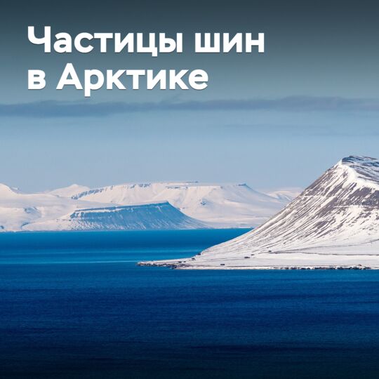 Вредные частицы шин нашли в Арктике