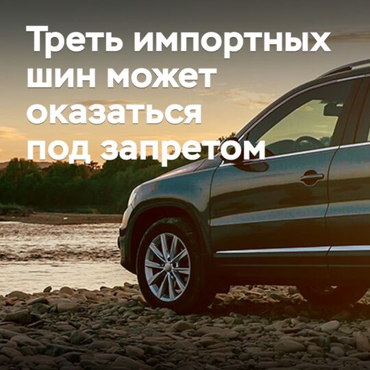 Треть импортных шин может оказаться под запретом