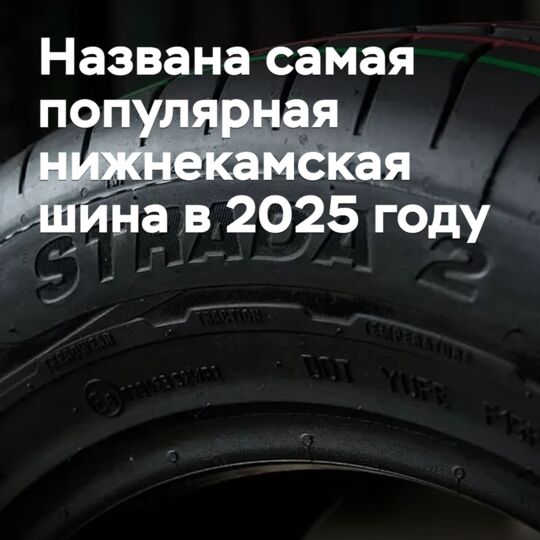 Названа самая популярная нижнекамская шина в 2025 году
