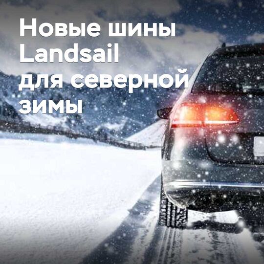 Жылан тұқымдасы. Қатты қысқа арналған Landsail шиналарының жаңа сериясына шолу