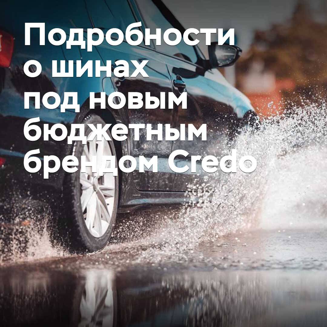Ikon жаңа бюджеттік Credo брені астындағы шиналар туралы егжей-тегжейлі ақпарат берді